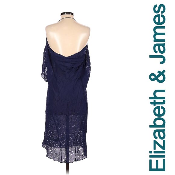 Elizabeth & James Silk Chiffon Eyelet Shift Dress in Navy - Picture 3 of 5